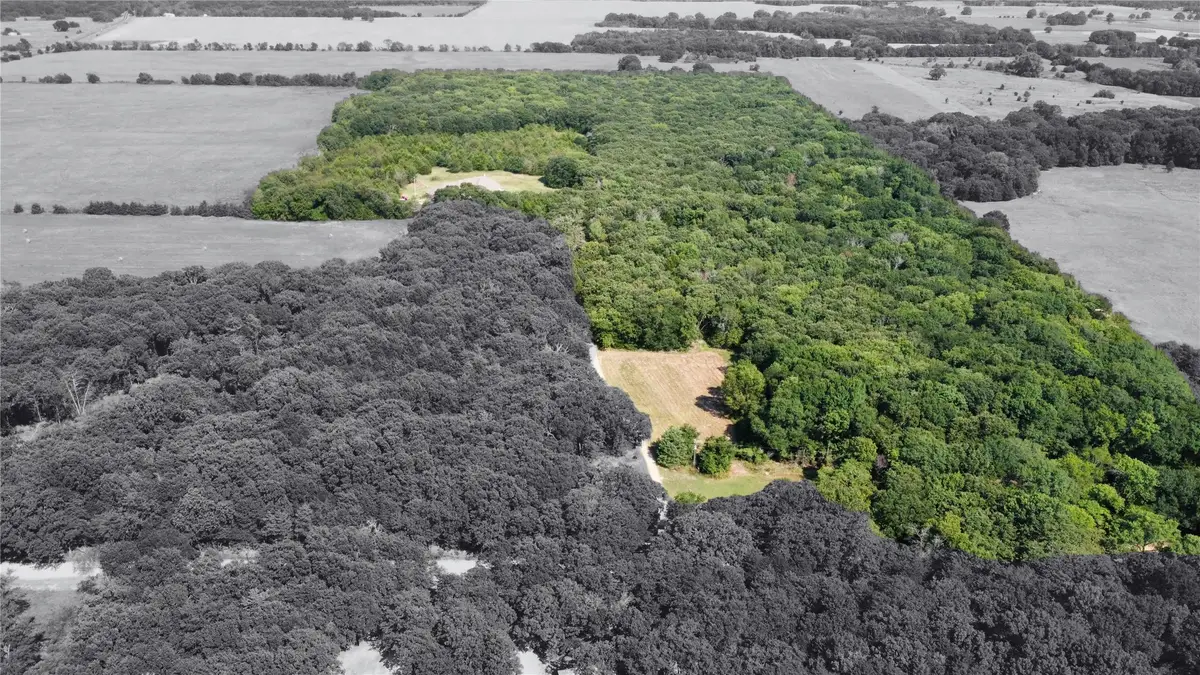 643 County Road 2255, Telephone, TX 75488 - #1