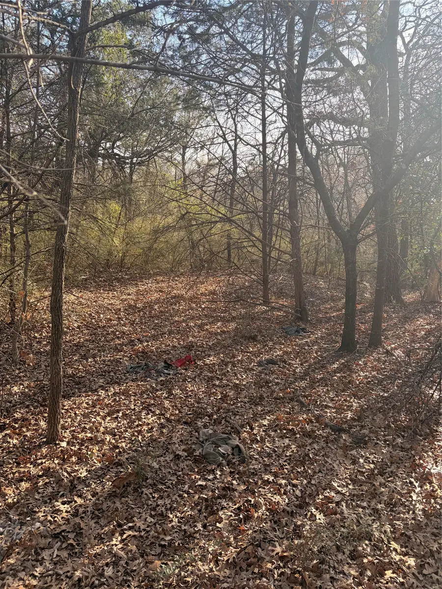 9421 San Leon Avenue, Dallas, TX 75217 - #2