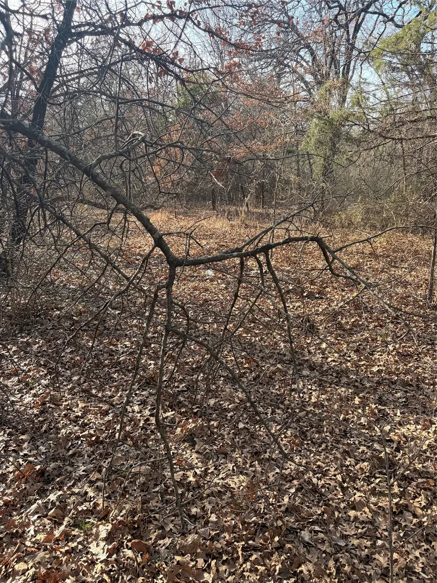 9421 San Leon Avenue, Dallas, TX 75217 - #3