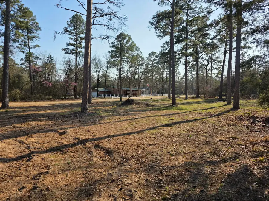 Lot 36 & 37 King Charles Road, Scroggins, TX 75480 - #2