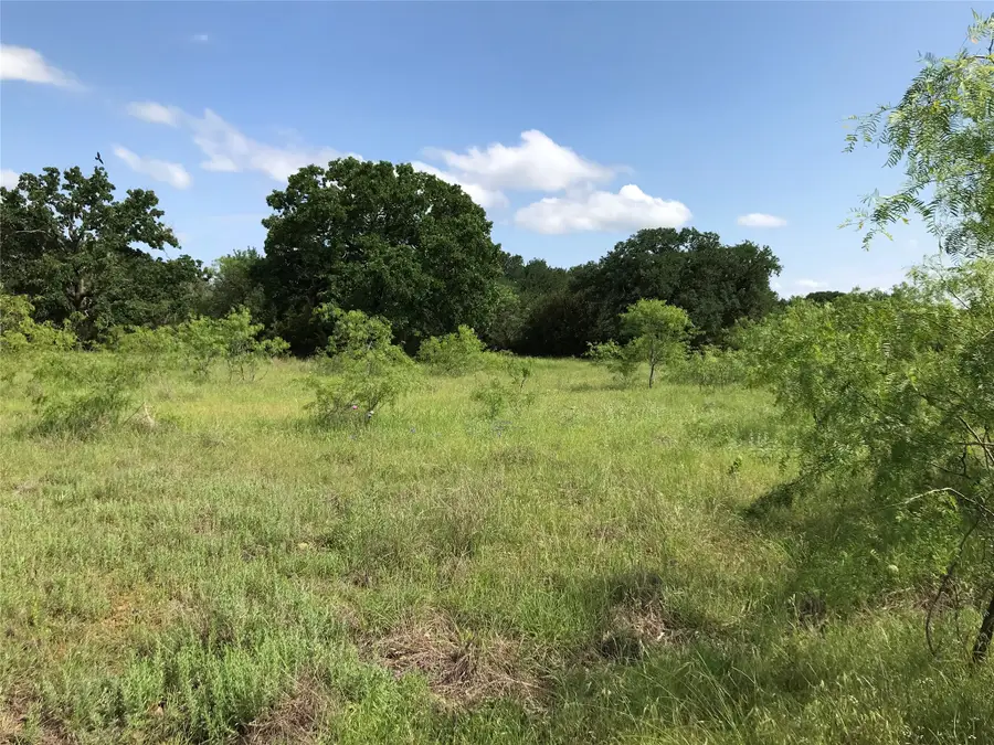 17061 Trailwood Drive, Whitney, TX 76692 - #3