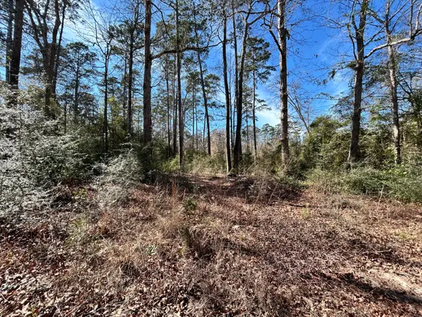 Lot 35 N Friar Tuck Drive, Woodville, TX 75979