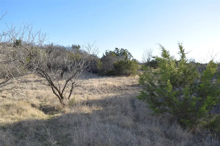 0 Hidden Shores Drive #Lot 96, Cisco, TX 76437 - #2