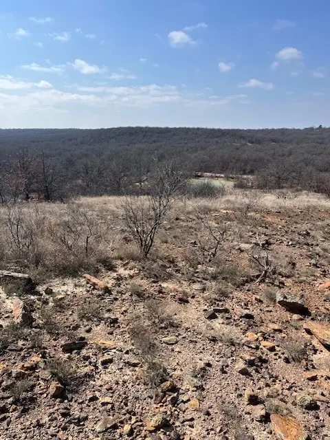 150 ac Hwy 16, Loving, TX 76460 - #2