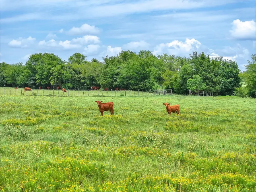 Tract 1 Fm 855, Jacksonville, TX 75766 - #3