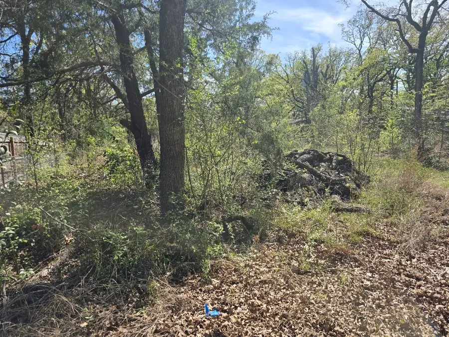 Lot 742 Oak Haven Drive, Gun Barrel City, TX 75156 - #3