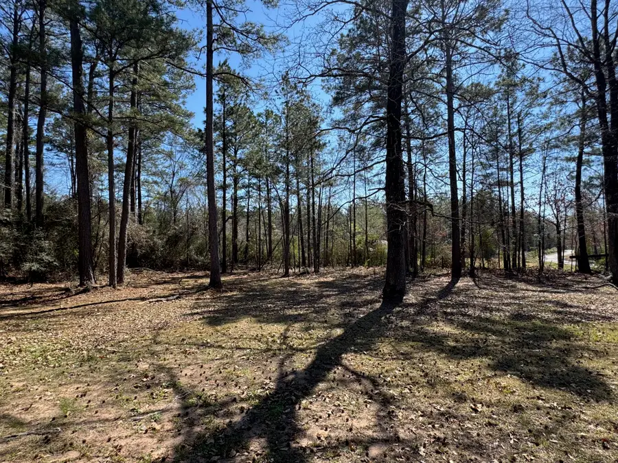 593 Ayers, Jamestown, LA 71045 - #2