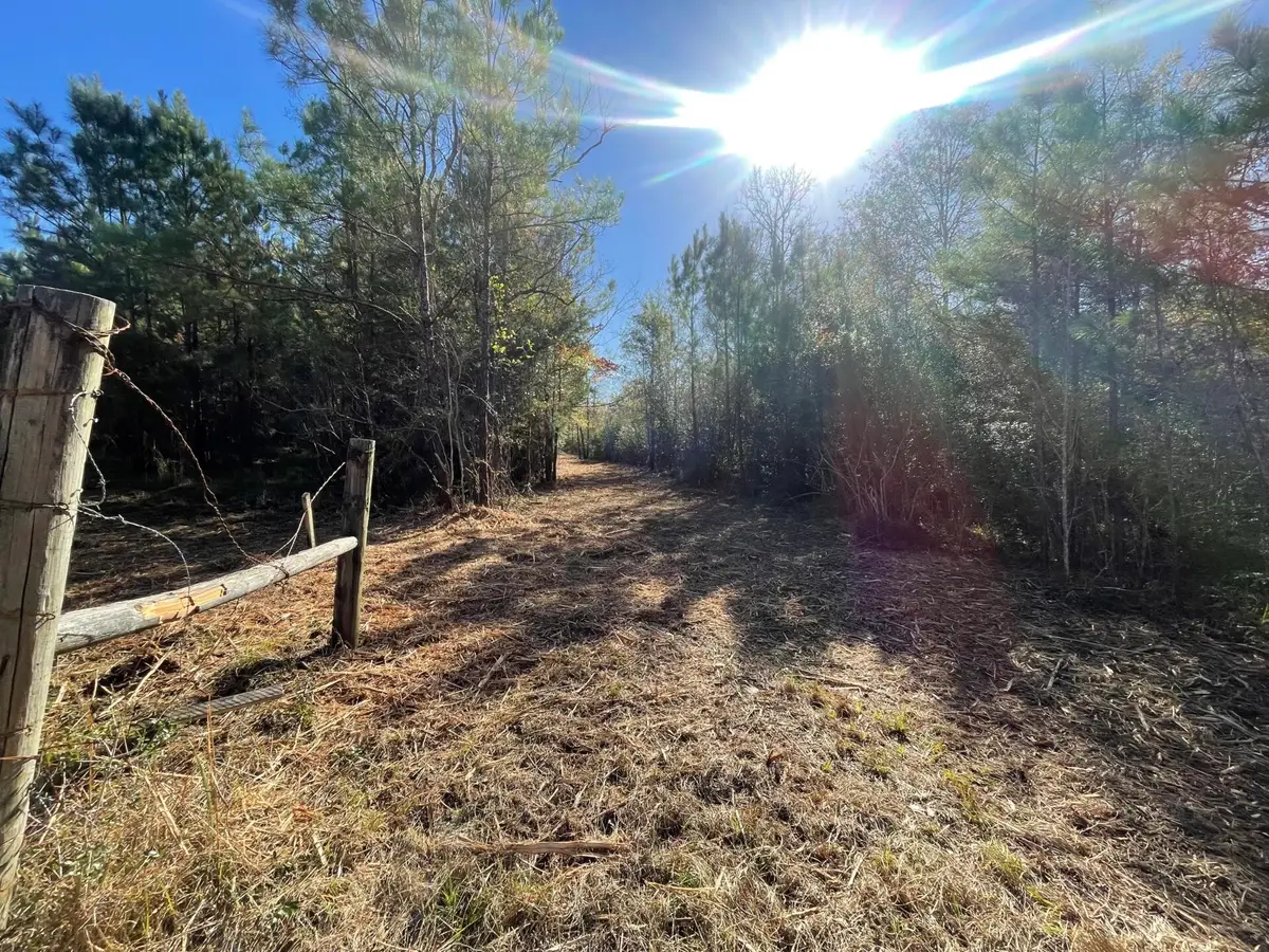 Lot 5 E Fm 942, Livingston Onalaska, TX 75934 - #1