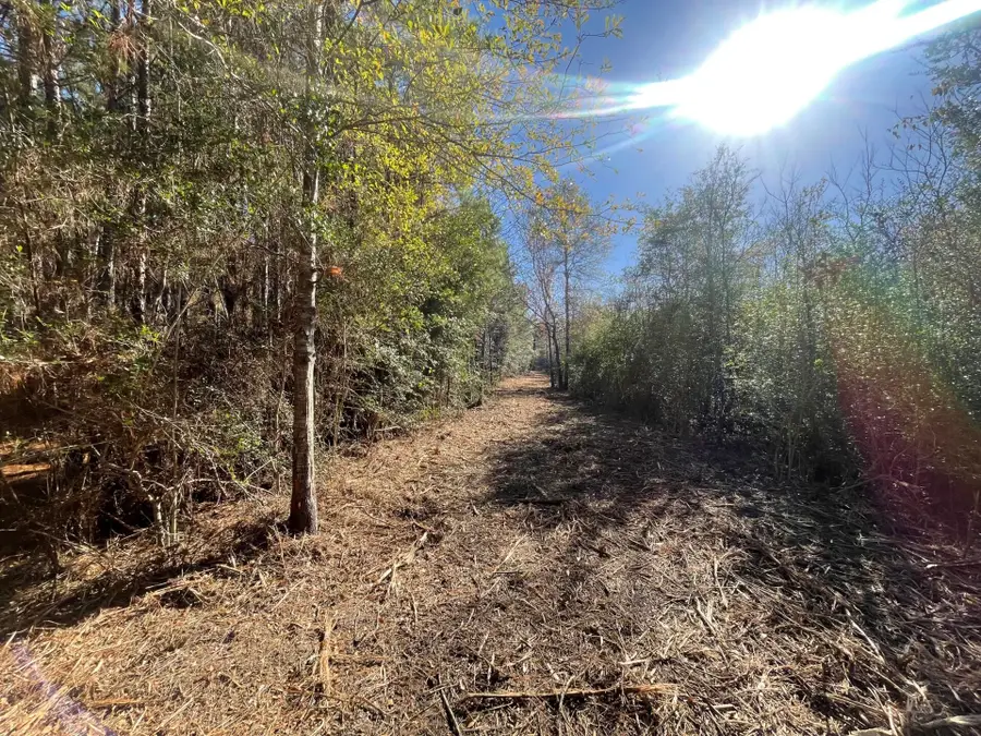 Lot 5 E Fm 942, Livingston Onalaska, TX 75934 - #2