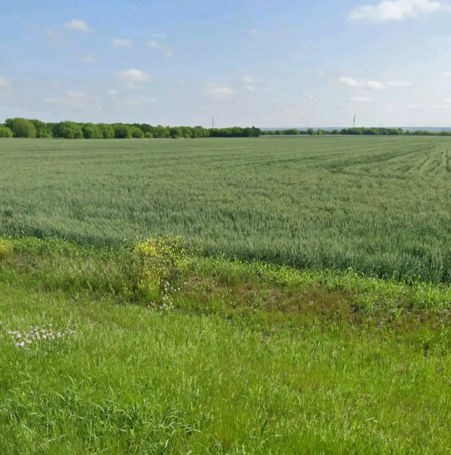 3632 Cr-619, Venus, TX 76084 - #3