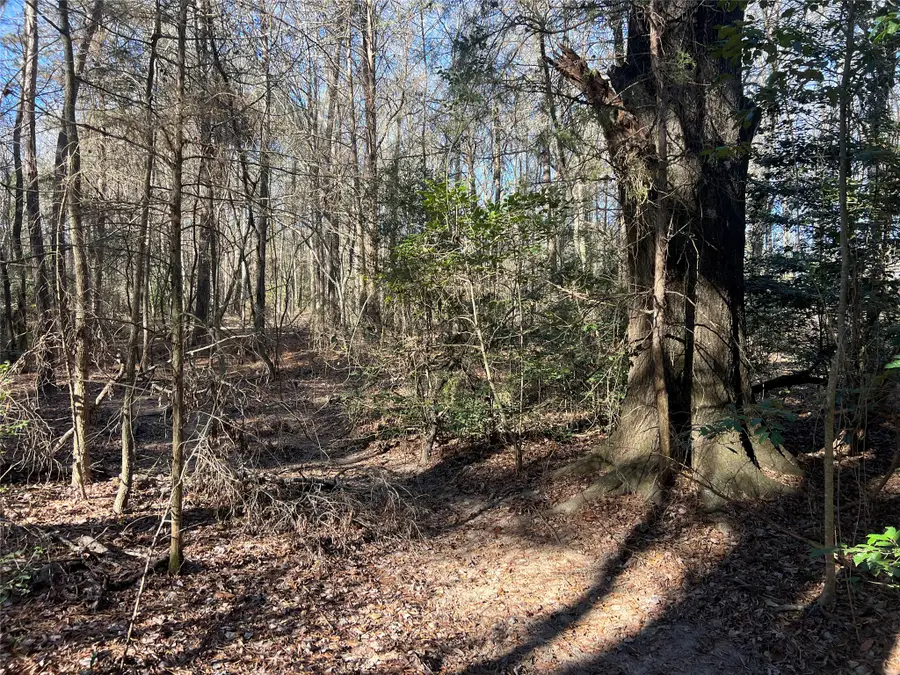 TBD Fm 161 N, Naples, TX 75568 - #2