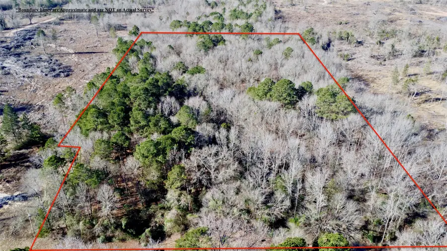 TBD Fm 161 N, Naples, TX 75568 - #3