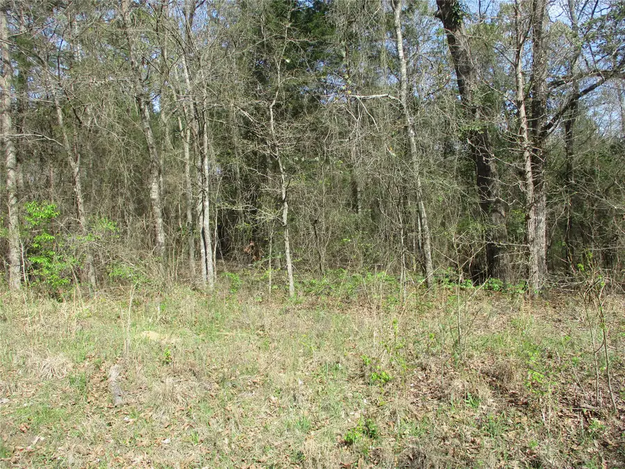 TBD County Road 2958, Alba, TX 75410 - #2