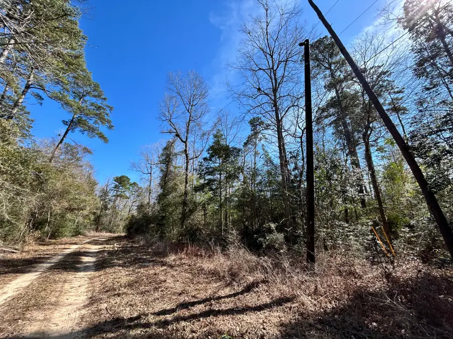 Lots 100-111 Lady Georgie Street, Woodville, TX 75979 - #2