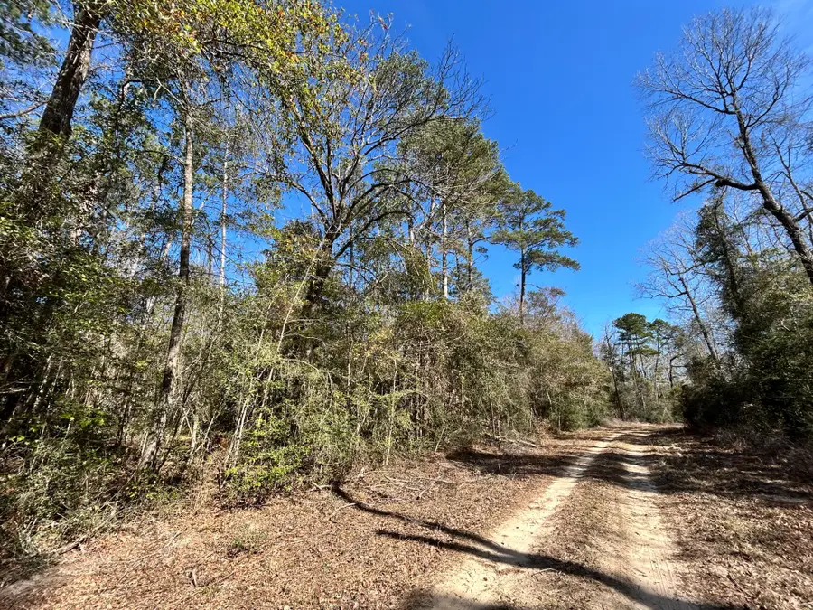 Lots 100-111 Lady Georgie Street, Woodville, TX 75979 - #3