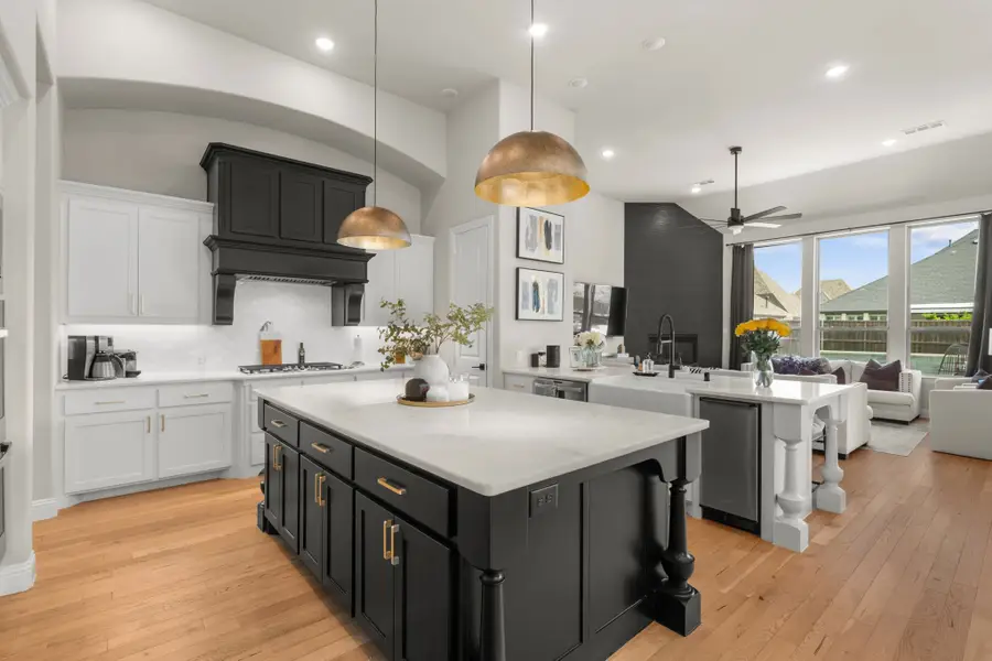 6908 Broomsedge Drive, Justin Roanoke, TX 76226 - #2