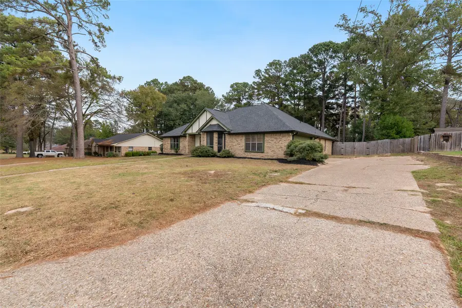 18133 Briarcrest Drive, Flint, TX 75762 - #2