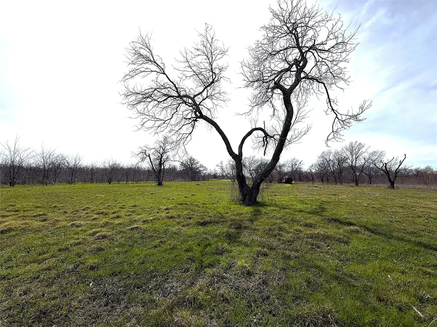 8437 Edgewater Drive, Kemp, TX 75143 - #3