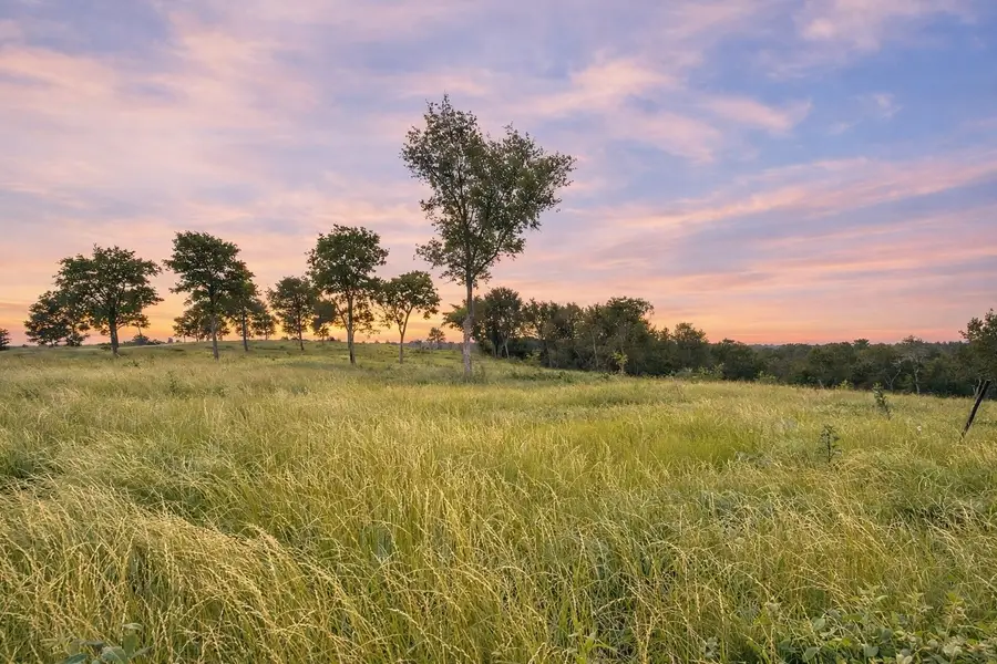 Lot 81 & SLP#17 Shoreside Drive, Corsicana, TX 75109 - #3