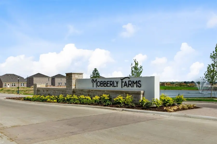 14119 Bacton Road, Pilot Point, TX 76258 - #3