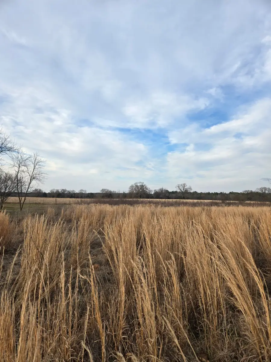 TBD CR 4836 0.50, Winnsboro, TX 75494 - #2