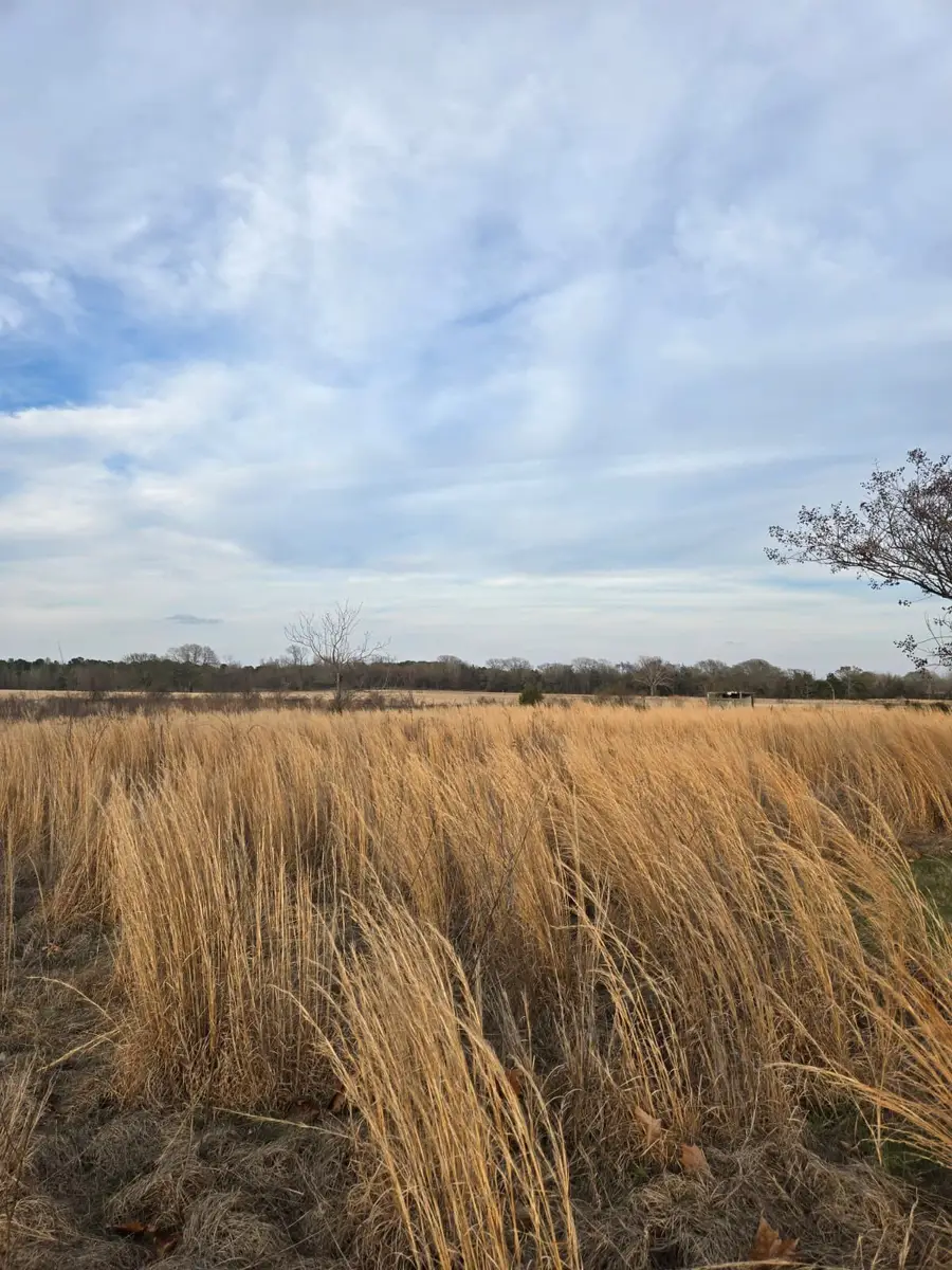 TBD CR 4836 0.50, Winnsboro, TX 75494 - #3