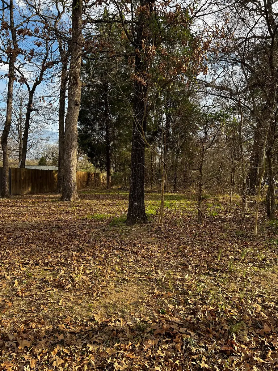 0 West Travis Lane W, Log Cabin, TX 75148 - #2