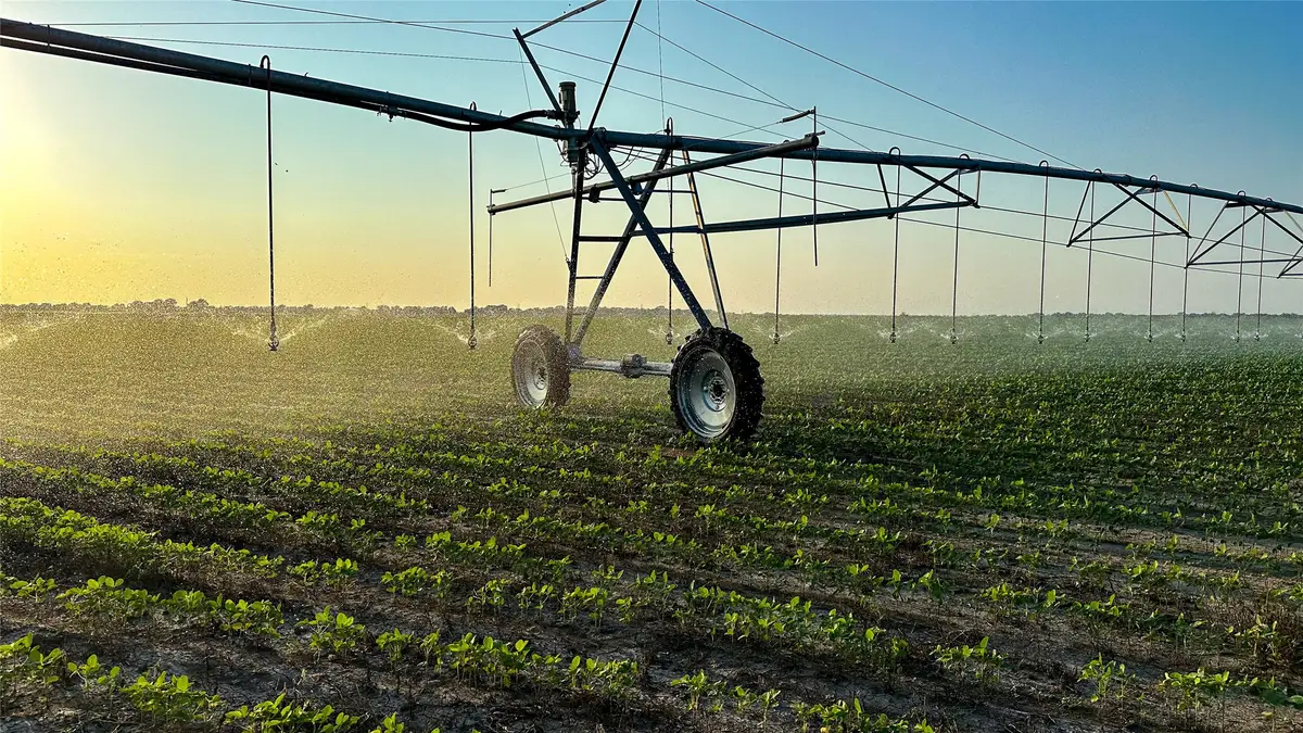 00 Fm 909, Clarksville, TX 75426 - #1