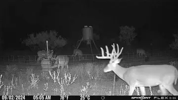 TBD Cr 218, Seymour, TX 76380 - #3