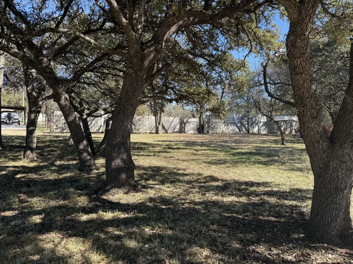TBD Lot 230 Bounding Main Dr Drive, May, TX 76857 - #1