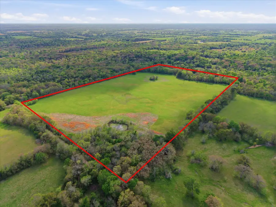 TBD County Road 1151, Miller Grove, TX 75433 - #2