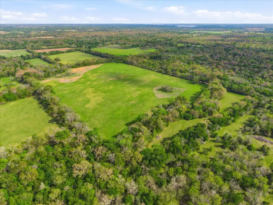 TBD County Road 1151, Miller Grove, TX 75433 - #3