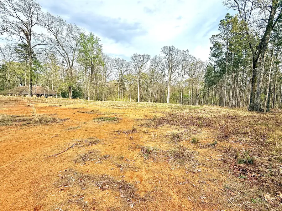 802 Germantown Road, Minden, LA 71055 - #3