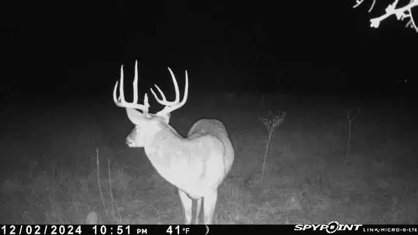 TBD 1 Cr 343 Road, Dublin, TX 76446 - #1