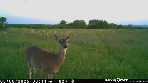 TBD 1 Cr 343 Road, Dublin, TX 76446 - #2