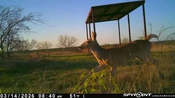 TBD 1 Cr 343 Road, Dublin, TX 76446 - #3