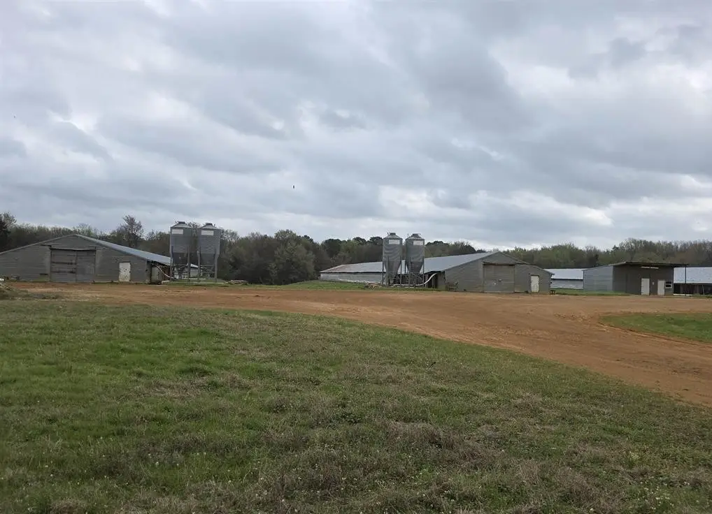 1886 Opossum Rd, Pittsburg, TX 75686 - #1