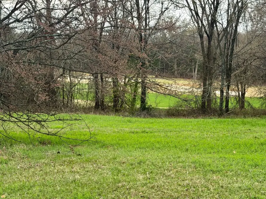 126 Roaring Fork Circle, Gordonville, TX 76245 - #3