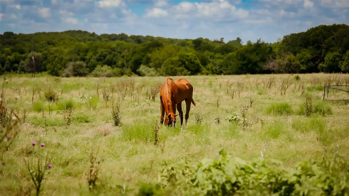 000 Fm 308, Milford, TX 76670 - #1