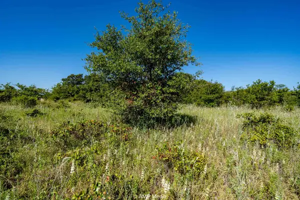 9999 County Road 240, Rising Star, TX 76471