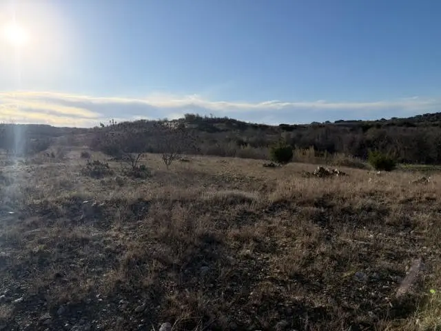 2220 Canyon Wren Loop, Graford, TX 76449 - #3