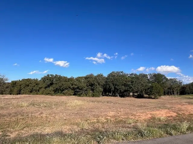 3000 Wyatts Way, Weatherford, TX 76087 - #1