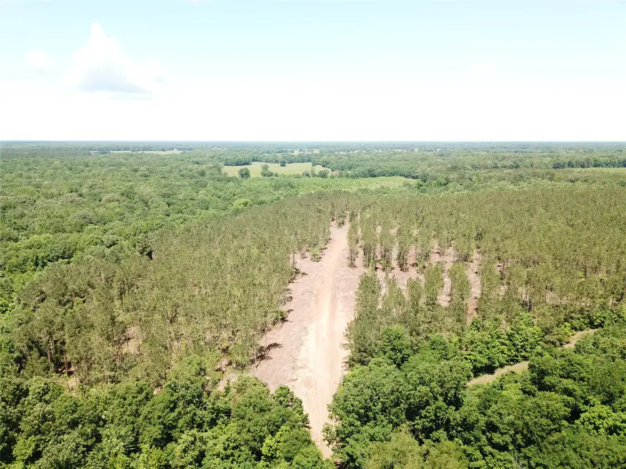 Off Cr 4290, Simms, TX 75574 - #2