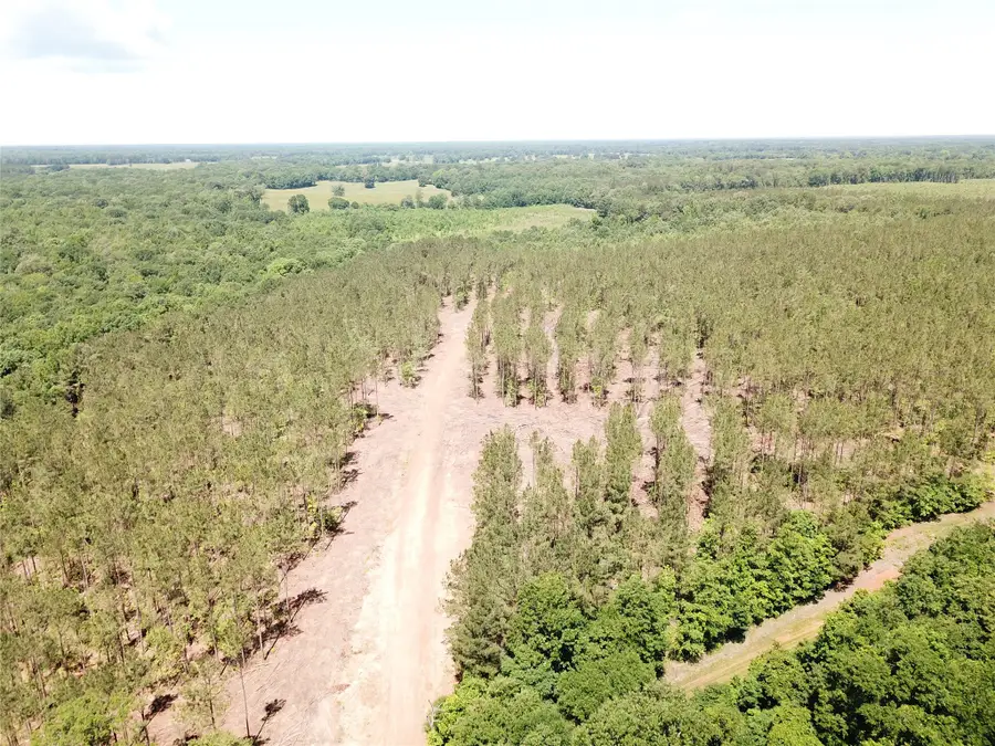 Off Cr 4290, Simms, TX 75574 - #3