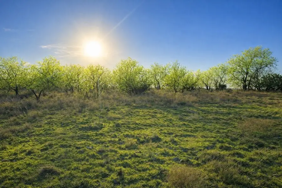 TBD County Road 224, Jonesboro, TX 76538 - #2