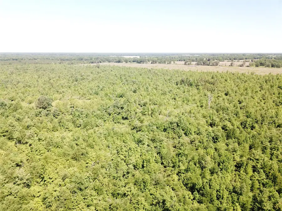 00 County Road 4308, Simms, TX 75574 - #3