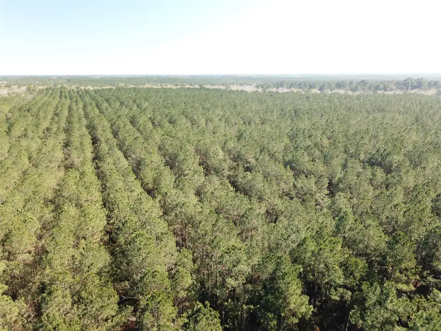 00 Corrigan Road, Vidor, TX 77662 - #3