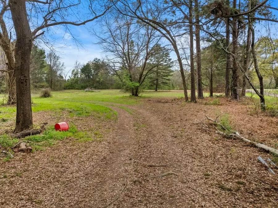 CR1124 Old Hwy 11 Road, Daingerfield, TX 75638 - #2