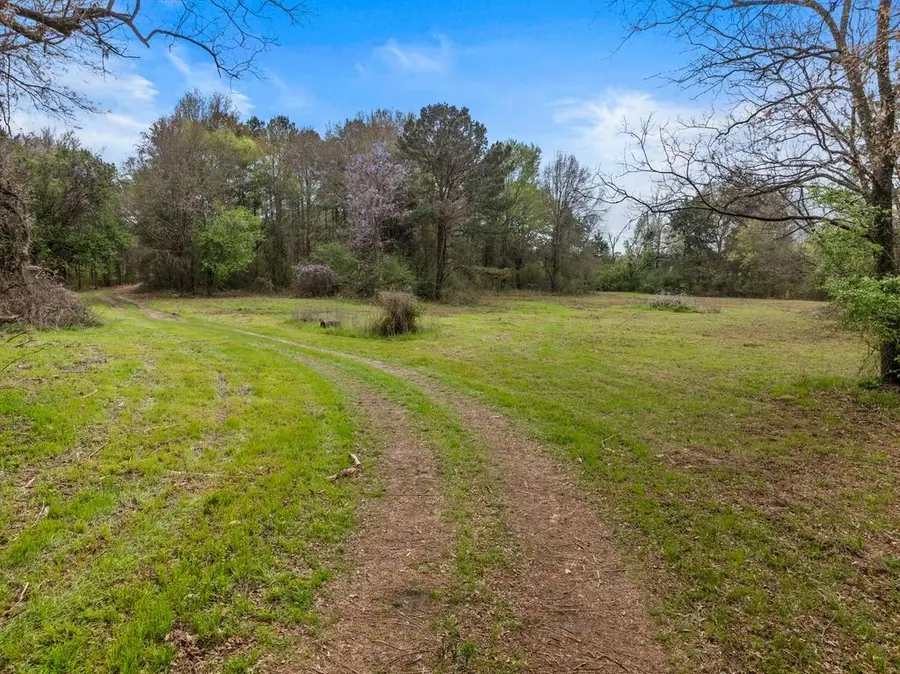 CR1124 Old Hwy 11 Road, Daingerfield, TX 75638 - #3