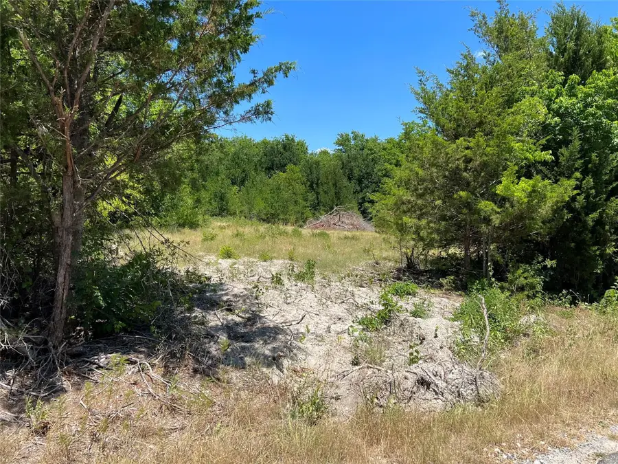 Tract One Pilot Grove Road, Whitewright, TX 75491 - #2